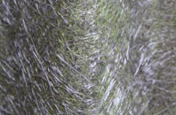 Lerwick fibreglass roof work